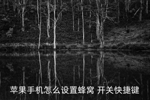 iphone添加數(shù)據(jù)開(kāi)關(guān)
