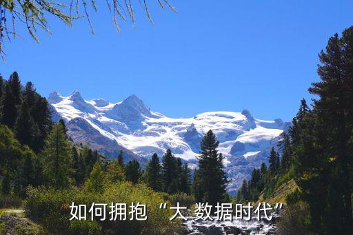 如何擁抱“大 數(shù)據(jù)時代”