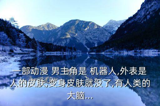 一部動漫 男主角是 機器人,外表是人的皮膚,變身皮膚就沒了,有人類的大腦...