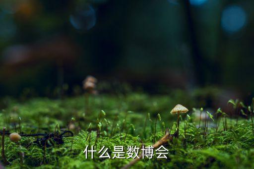 什么是數(shù)博會