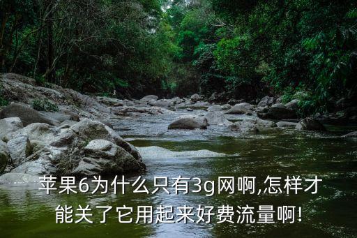  蘋果6為什么只有3g網(wǎng)啊,怎樣才能關(guān)了它用起來好費流量啊!