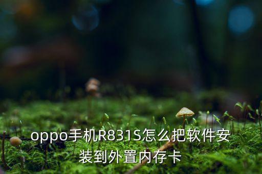 OPPOr831s數(shù)據(jù)可以存到sd卡