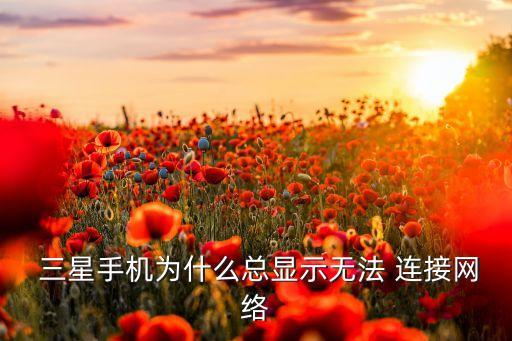  三星手機為什么總顯示無法 連接網(wǎng)絡(luò)
