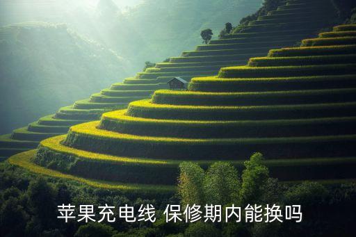  蘋果充電線 保修期內(nèi)能換嗎