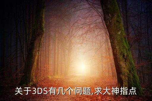 關(guān)于3DS有幾個(gè)問題,求大神指點(diǎn)