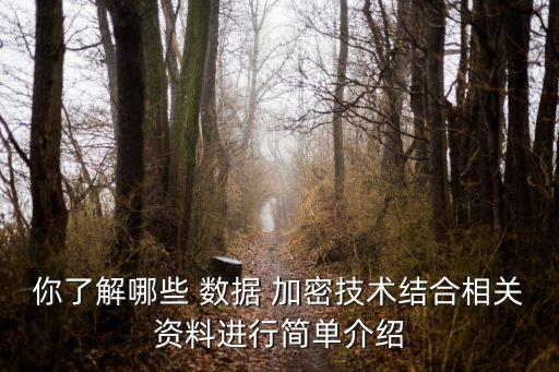 你了解哪些 數(shù)據(jù) 加密技術(shù)結(jié)合相關(guān)資料進(jìn)行簡(jiǎn)單介紹