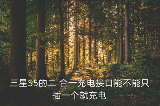 三星S5的二 合一充電接口能不能只插一個就充電