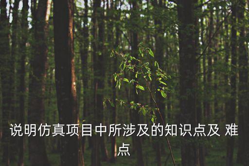 說(shuō)明仿真項(xiàng)目中所涉及的知識(shí)點(diǎn)及 難點(diǎn)