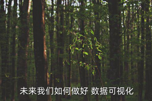  未來我們?nèi)绾巫龊?數(shù)據(jù)可視化
