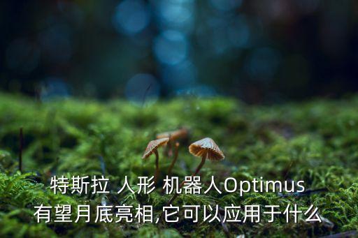 人形智能機(jī)器人美國,中國人形智能機(jī)器人多久量產(chǎn)