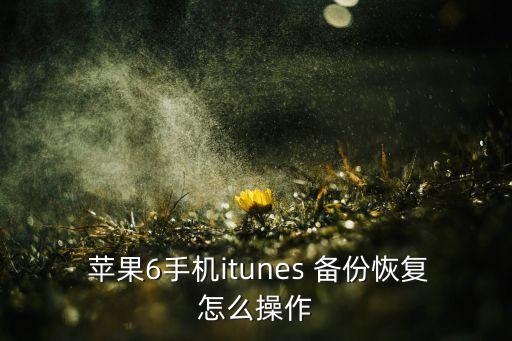  蘋果6手機(jī)itunes 備份恢復(fù)怎么操作