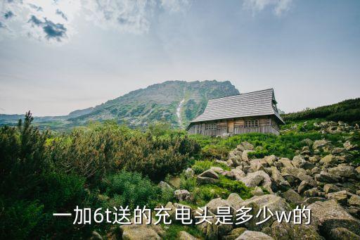  一加6t送的充電頭是多少w的