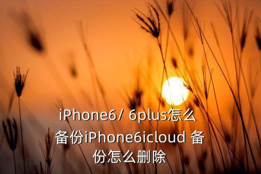 蘋果6plus怎么備份數(shù)據(jù)