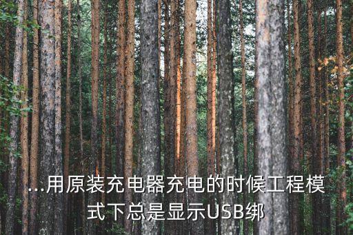 ...用原裝充電器充電的時(shí)候工程模式下總是顯示USB綁