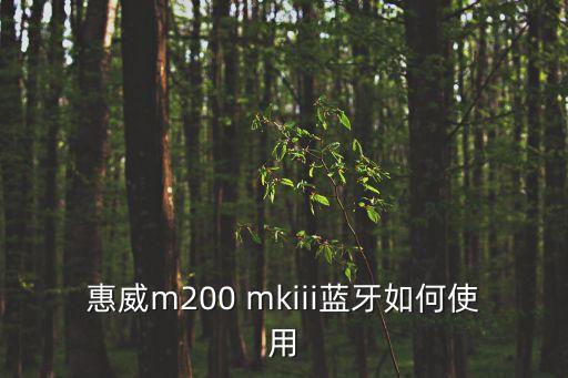 惠威m200 mkiii藍(lán)牙如何使用