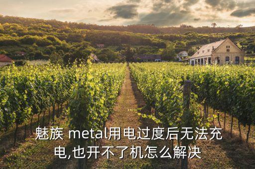  魅族 metal用電過(guò)度后無(wú)法充電,也開(kāi)不了機(jī)怎么解決