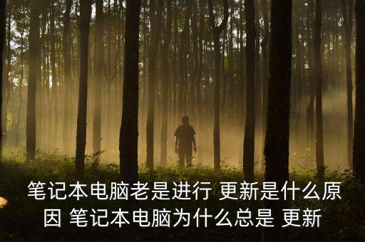 筆記本需要自動(dòng)更新嗎,聯(lián)想筆記本怎么關(guān)閉自動(dòng)更新系統(tǒng)