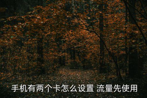 雙卡手機(jī) 數(shù)據(jù)流量,手機(jī)雙卡怎么用流量使用