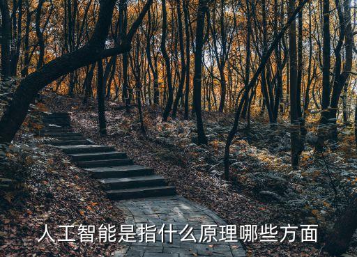 家務(wù)機(jī)器人的缺點(diǎn),日本家務(wù)機(jī)器人