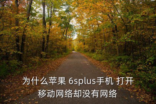 為什么蘋果 6splus手機(jī) 打開移動(dòng)網(wǎng)絡(luò)卻沒有網(wǎng)絡(luò)
