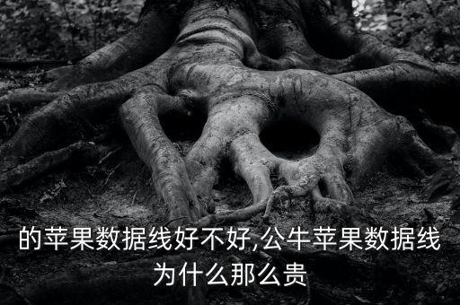 公牛的蘋果數(shù)據(jù)線好不好,公牛蘋果數(shù)據(jù)線為什么那么貴