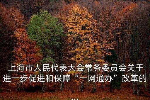  上海市人民代表大會常務(wù)委員會關(guān)于進一步促進和保障“一網(wǎng)通辦”改革的...