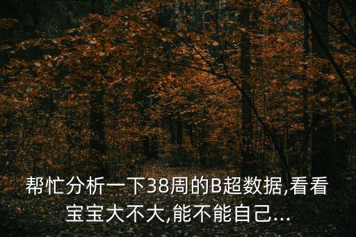 幫忙分析一下38周的B超數(shù)據(jù),看看寶寶大不大,能不能自己...