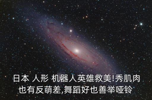 人形機器人介紹