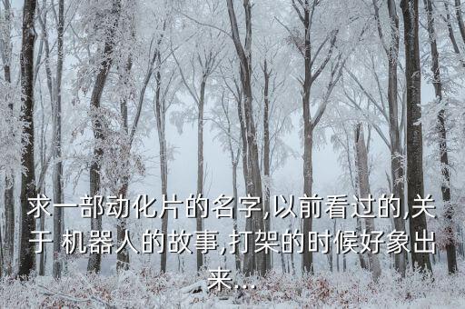求一部動(dòng)化片的名字,以前看過的,關(guān)于 機(jī)器人的故事,打架的時(shí)候好象出來...