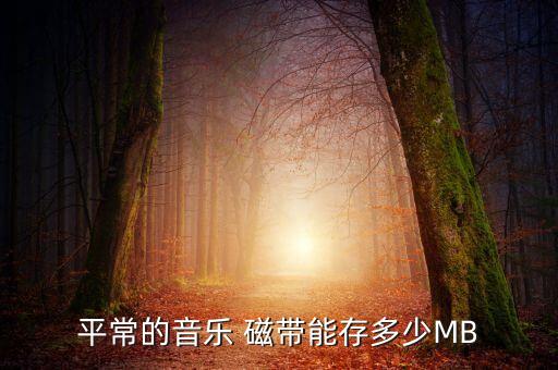 平常的音樂 磁帶能存多少MB