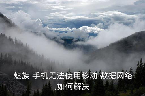  魅族 手機(jī)無法使用移動(dòng) 數(shù)據(jù)網(wǎng)絡(luò),如何解決