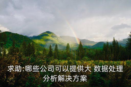 求助:哪些公司可以提供大 數(shù)據(jù)處理分析解決方案