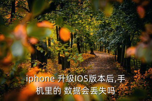 iphone 升級(jí)IOS版本后,手機(jī)里的 數(shù)據(jù)會(huì)丟失嗎