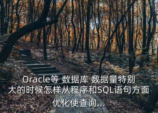 Oracle等 數(shù)據(jù)庫 數(shù)據(jù)量特別大的時候怎樣從程序和SQL語句方面優(yōu)化使查詢...