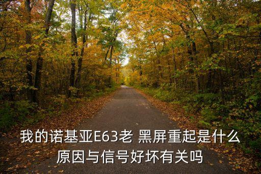 e63數(shù)據(jù)線插入黑屏