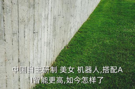 中國自主研制 美女 機(jī)器人,搭配AI智能更高,如今怎樣了