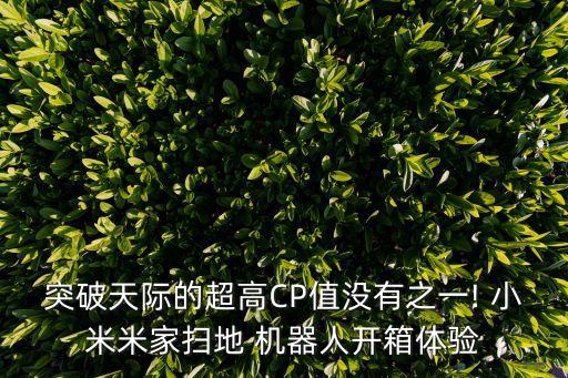 小米機器人遙控器,阿呦用遙控器把小米的機器人自動了