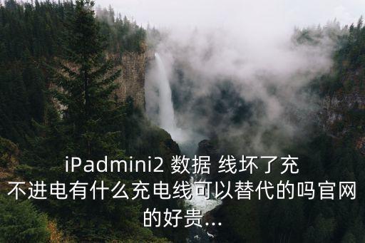 iPadmini2 數(shù)據(jù) 線(xiàn)壞了充不進(jìn)電有什么充電線(xiàn)可以替代的嗎官網(wǎng)的好貴...
