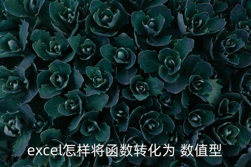 excel怎樣將函數(shù)轉(zhuǎn)化為 數(shù)值型