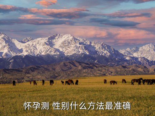 懷孕測(cè) 性別什么方法最準(zhǔn)確