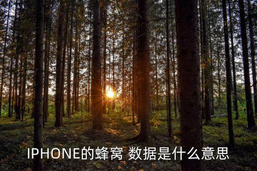IPHONE的蜂窩 數(shù)據(jù)是什么意思