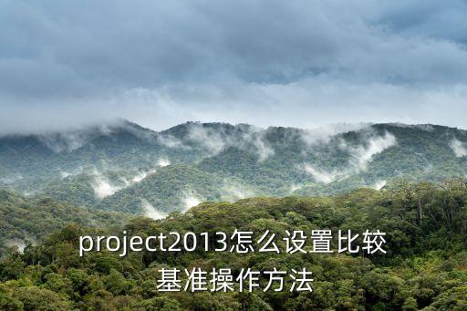 project2013怎么設(shè)置比較 基準(zhǔn)操作方法