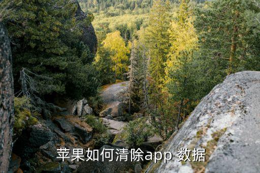蘋果怎么清軟件數(shù)據(jù),蘋果手機(jī)怎么清數(shù)據(jù)