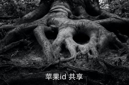 icloud怎么共享app數據,使用icloud的app會共享嗎