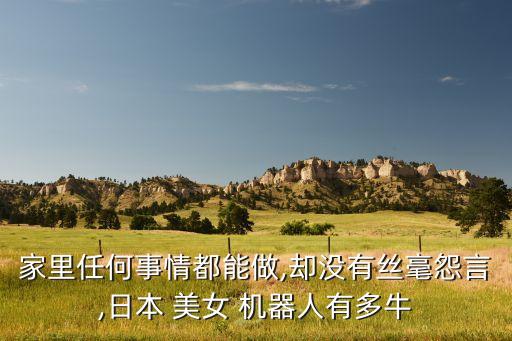 美女機(jī)器人的結(jié)構(gòu)