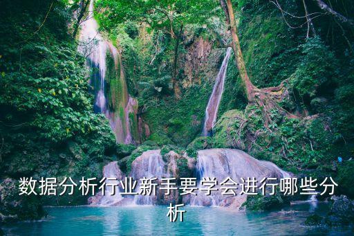  數(shù)據(jù)分析行業(yè)新手要學(xué)會(huì)進(jìn)行哪些分析