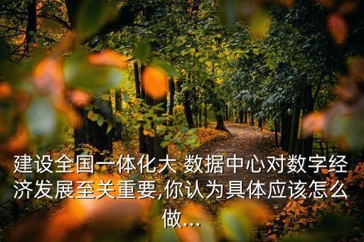 建設(shè)全國(guó)一體化大 數(shù)據(jù)中心對(duì)數(shù)字經(jīng)濟(jì)發(fā)展至關(guān)重要,你認(rèn)為具體應(yīng)該怎么做...