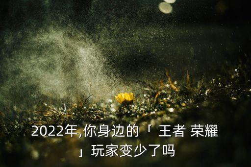 2022年,你身邊的「 王者 榮耀」玩家變少了嗎