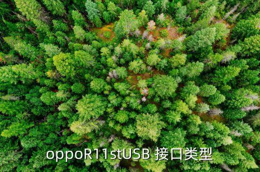 r11數(shù)據(jù)接口