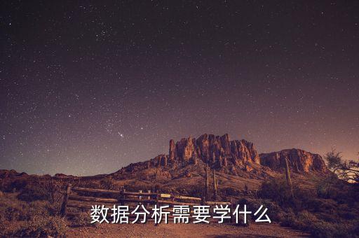  數(shù)據(jù)分析需要學(xué)什么